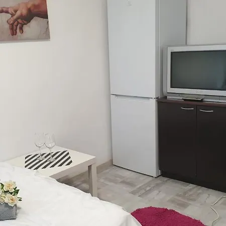 Apartamento Garsoniera Capsunica *