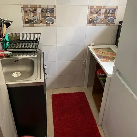 Apartamento Garsoniera Capsunica